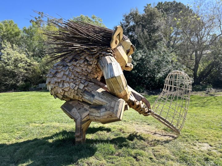 Troll Trek Guided Walking Tour 1
